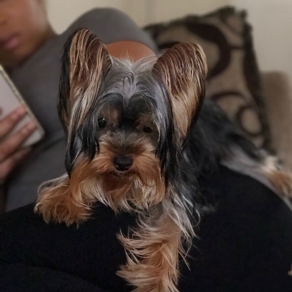 Meet Your:
Top Seller💋Buyer - Picture 15 of 15